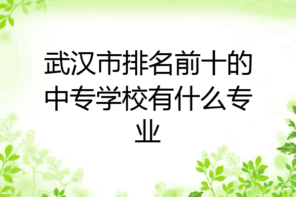 武汉市排名前十的中专学校有什么专业