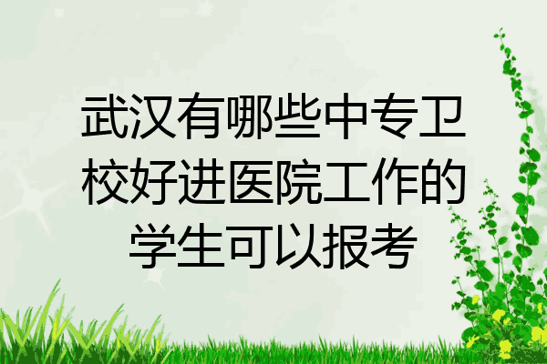 武汉有哪些中专卫校好进医院工作的学生可以报考
