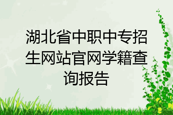 湖北省中职中专招生网站官网学籍查询报告