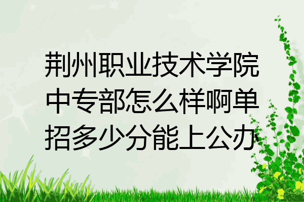 荆州职业技术学院中专部怎么样啊单招多少分能上公办