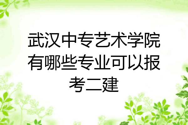 武汉中专艺术学院有哪些专业可以报考二建