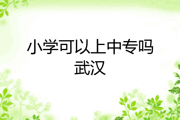 小学可以上中专吗武汉