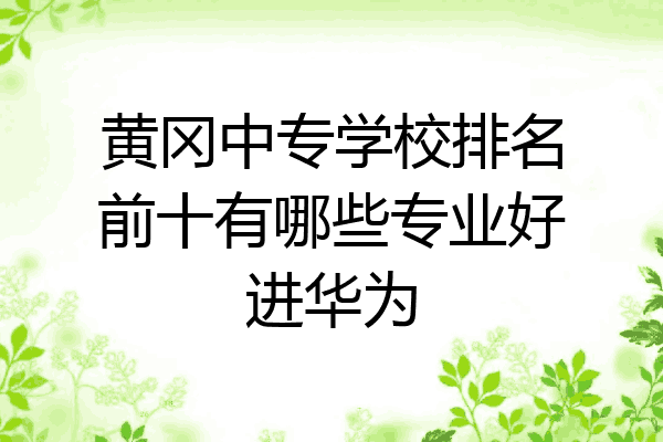 黄冈中专学校排名前十有哪些专业好进华为