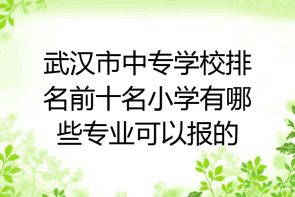 武汉市中专学校排名前十名小学有哪些专业可以报的