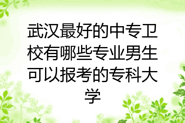 武汉最好的中专卫校有哪些专业男生可以报考的专科大学