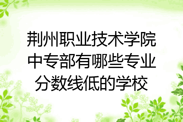 荆州职业技术学院中专部有哪些专业分数线低的学校