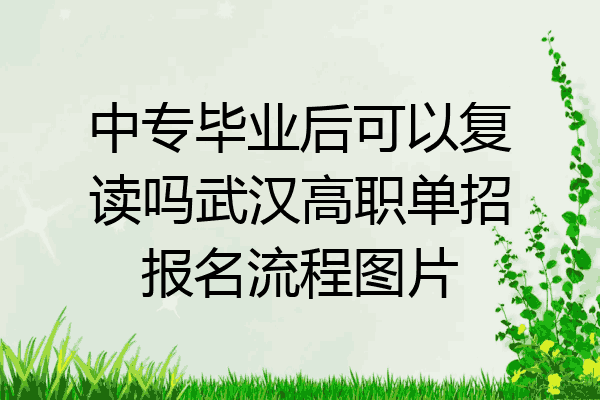 中专毕业后可以复读吗武汉高职单招报名流程图片