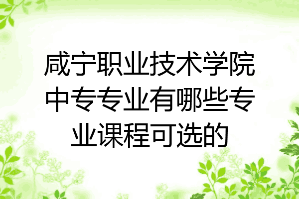 咸宁职业技术学院中专专业有哪些专业课程可选的