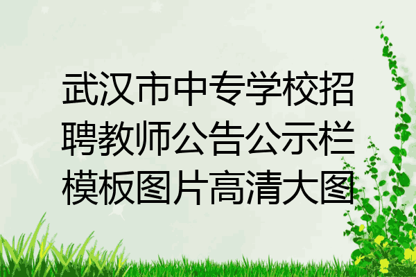 武汉市中专学校招聘教师公告公示栏模板图片高清大图