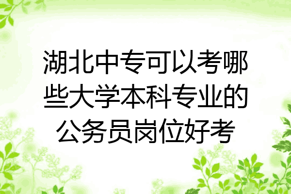 湖北中专可以考哪些大学本科专业的公务员岗位好考