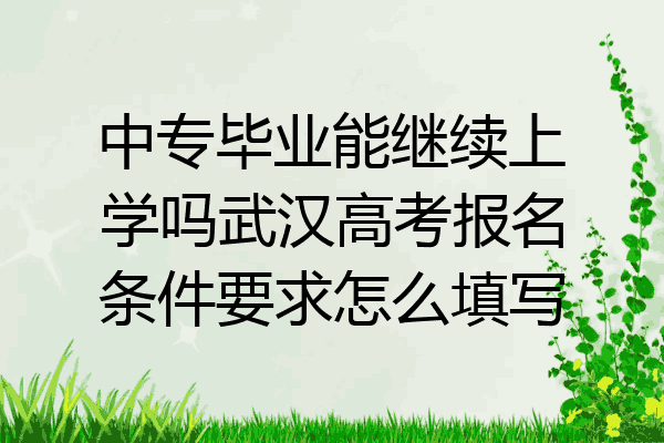 中专毕业能继续上学吗武汉高考报名条件要求怎么填写