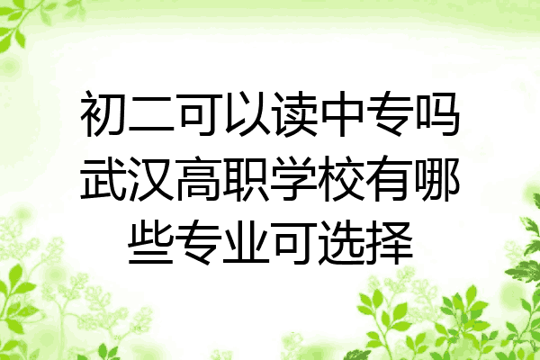 初二可以读中专吗武汉高职学校有哪些专业可选择