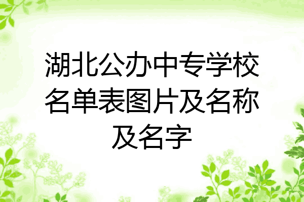 湖北公办中专学校名单表图片及名称及名字