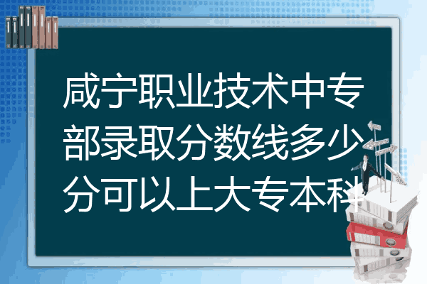 咸宁职业技术中专部录取分数线多少分可以上大专本科