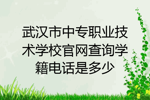 武汉市中专职业技术学校官网查询学籍电话是多少