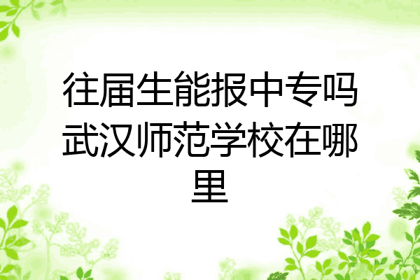 往届生能报中专吗武汉师范学校在哪里