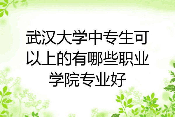 武汉大学中专生可以上的有哪些职业学院专业好