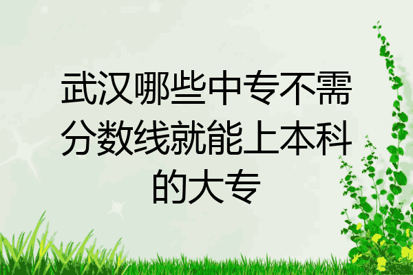 武汉哪些中专不需分数线就能上本科的大专