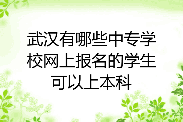武汉有哪些中专学校网上报名的学生可以上本科