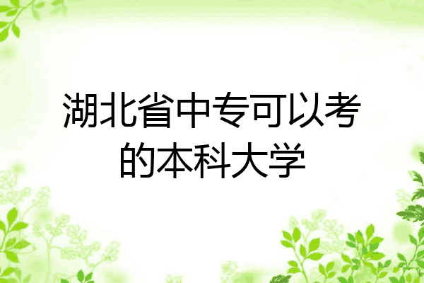 湖北省中专可以考的本科大学
