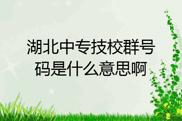 湖北中专技校群号码是什么意思啊