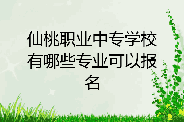仙桃职业中专学校有哪些专业可以报名