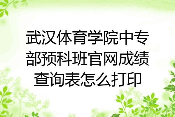 武汉体育学院中专部预科班官网成绩查询表怎么打印