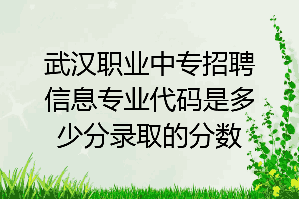 武汉职业中专招聘信息专业代码是多少分录取的分数