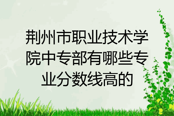 荆州市职业技术学院中专部有哪些专业分数线高的