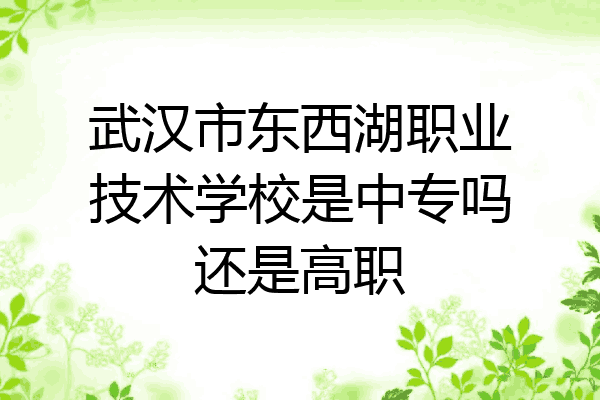 武汉市东西湖职业技术学校是中专吗还是高职