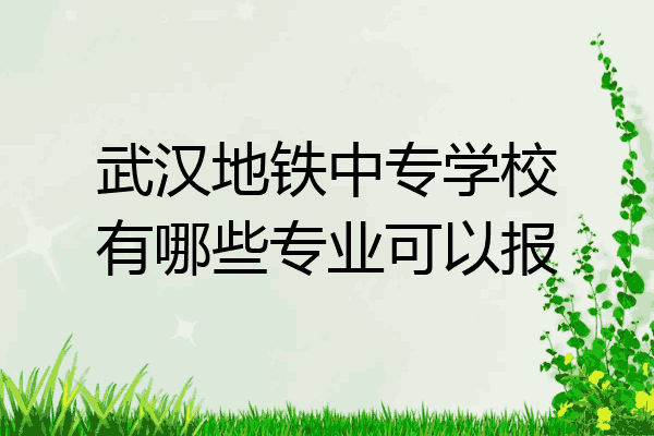 武汉地铁中专学校有哪些专业可以报