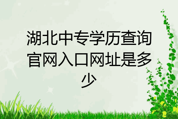 湖北中专学历查询官网入口网址是多少