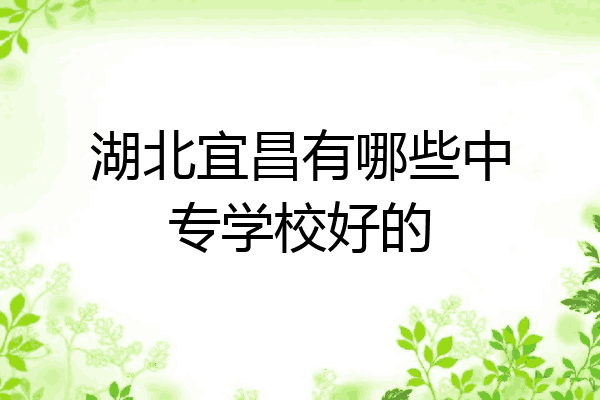 湖北宜昌有哪些中专学校好的