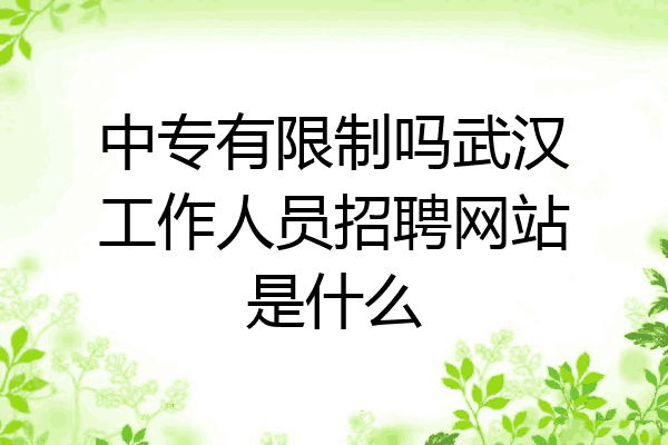 中专有限制吗武汉工作人员招聘网站是什么
