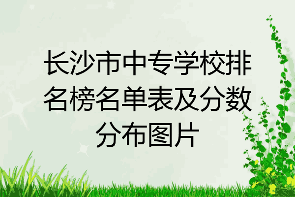 长沙市中专学校排名榜名单表及分数分布图片