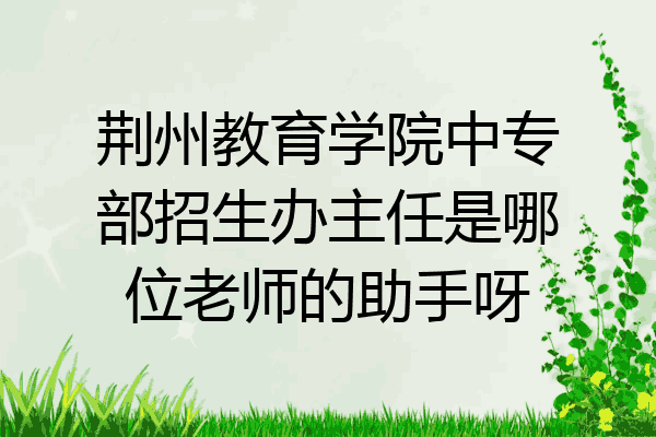 荆州教育学院中专部招生办主任是哪位老师的助手呀