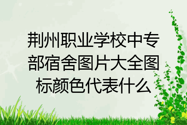 荆州职业学校中专部宿舍图片大全图标颜色代表什么