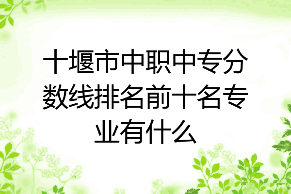 十堰市中职中专分数线排名前十名专业有什么