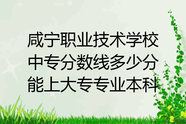 咸宁职业技术学校中专分数线多少分能上大专专业本科