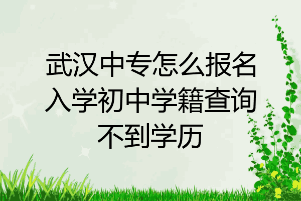 武汉中专怎么报名入学初中学籍查询不到学历