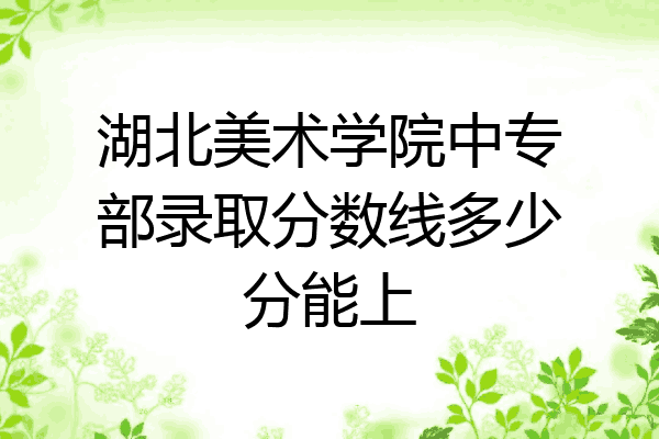 湖北美术学院中专部录取分数线多少分能上