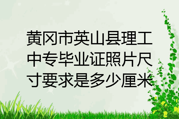 黄冈市英山县理工中专毕业证照片尺寸要求是多少厘米