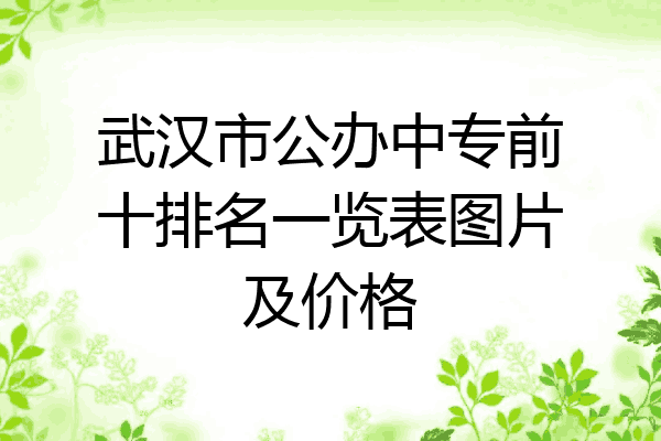 武汉市公办中专前十排名一览表图片及价格