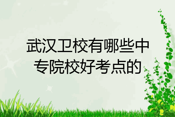 武汉卫校有哪些中专院校好考点的