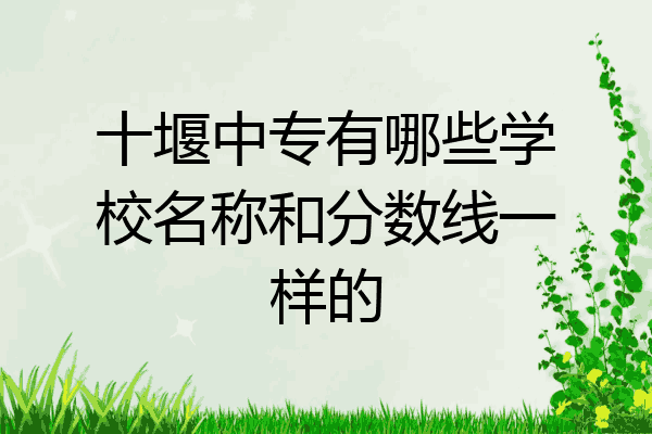 十堰中专有哪些学校名称和分数线一样的