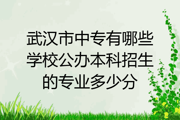 武汉市中专有哪些学校公办本科招生的专业多少分