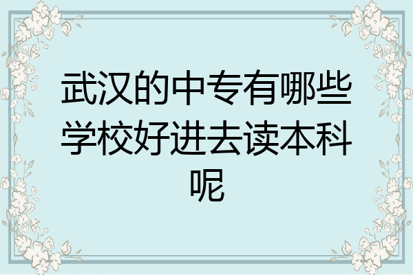 武汉的中专有哪些学校好进去读本科呢