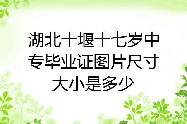 湖北十堰十七岁中专毕业证图片尺寸大小是多少