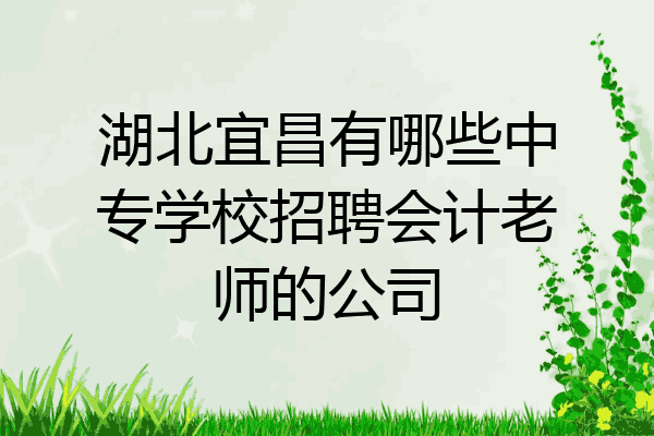 湖北宜昌有哪些中专学校招聘会计老师的公司