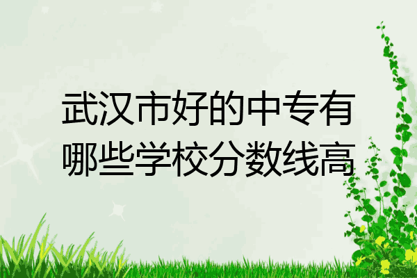 武汉市好的中专有哪些学校分数线高